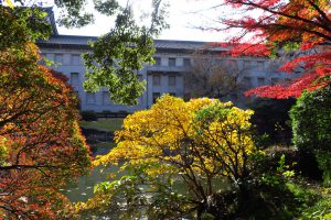 東京国立博物館の池