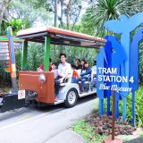 bird park tram