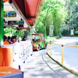 jurong bird park tram