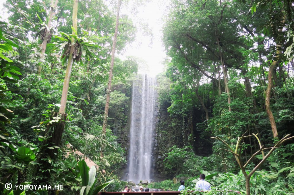 jurong bird park waterfall aviary