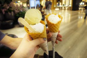 チャンギ空港ジュエルの中のBIRDS OF PARADISEで購入