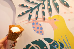 BIRDS OF PARADISEの鳥さんとジェラート