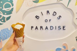 BIRDS OF PARADISE ボタニカルジェラートと看板