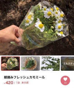 フレッシュ・カモミール